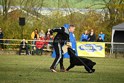 Ran-Tan-Plan von Elberfeld