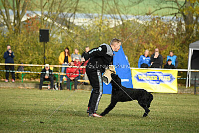 Ran-Tan-Plan von Elberfeld