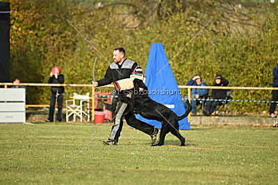 Ran-Tan-Plan von Elberfeld