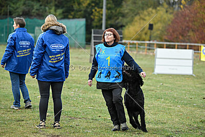 Ran-Tan-Plan von Elberfeld