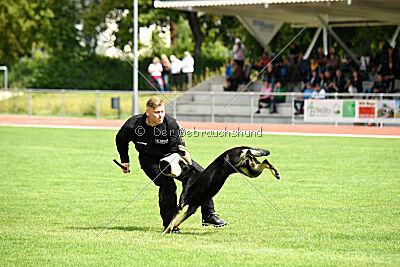 Ranuk vom Erdbeerlord