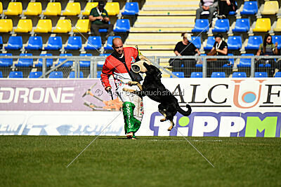 Ranuk vom Erdbeerlord