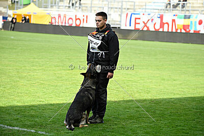 Rebel z Berounske basty