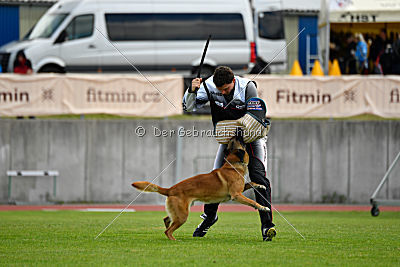 Rechtsanwalt von der Steinteichmühle