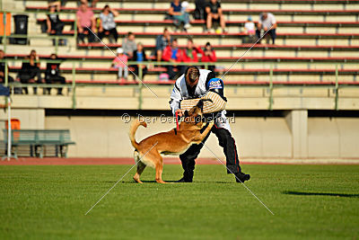 Rechtsanwalt von der Steinteichmühle
