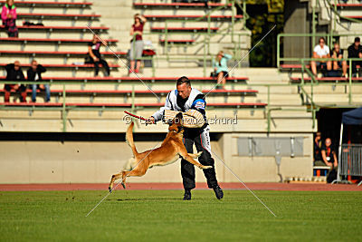 Rechtsanwalt von der Steinteichmühle