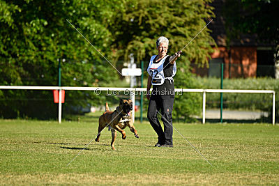 Reich Ranicki von der Steinteichmühle