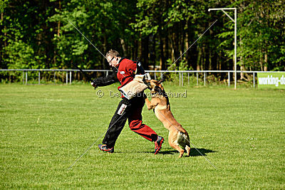 Reich Ranicki von der Steinteichmühle