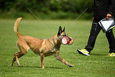 Resi Rückenwind von der Steinteichmühle