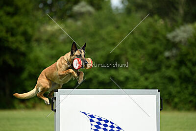 Resi Rückenwind von der Steinteichmühle