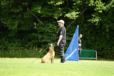 Resi Rückenwind von der Steinteichmühle