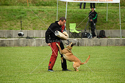 Resi Rückenwind von der Steinteichmühle