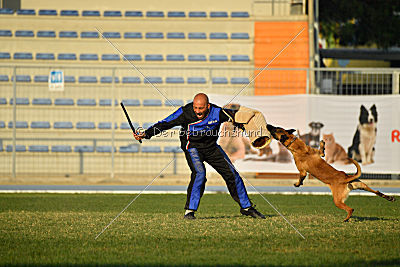 Reunion (FCI) Constantin Anoubis