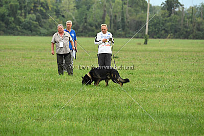 Rex vom Weinbergblick