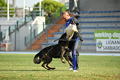 Rex vom Weinbergblick