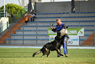 Rex vom Weinbergblick