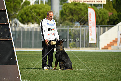 Rex vom Weinbergblick