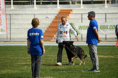 Rex vom Weinbergblick
