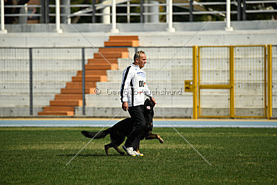 Rex vom Weinbergblick