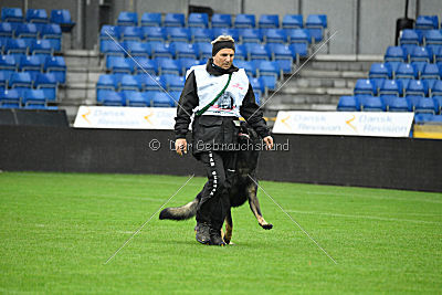 Rex vom Weinbergblick