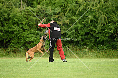 Rien ne va plus Campino