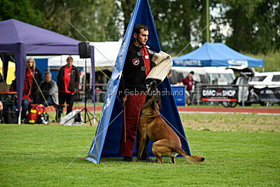 Rien ne va plus Campino