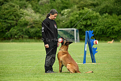 Rien ne va plus Campino