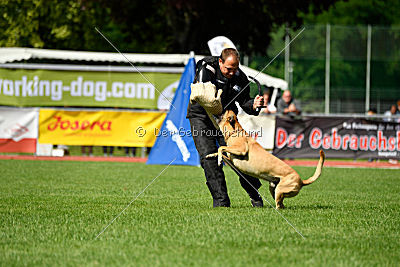 Rocket (de Boer)