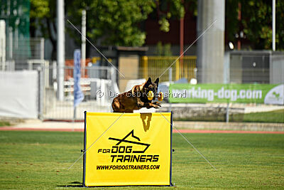 Roger de Knueve Hispania