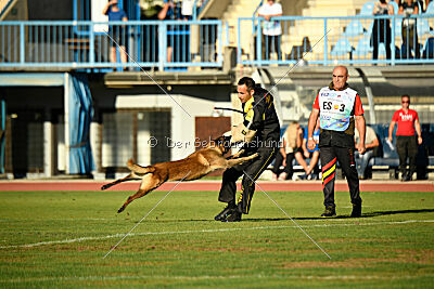 Roger de Knueve Hispania