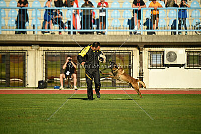 Roger de Knueve Hispania