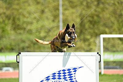 Roger de Knueve Hispania