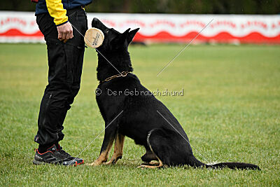 Rolex del Camino Duro