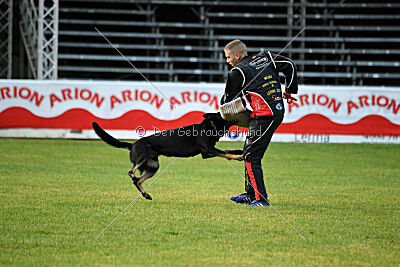 Rolex del Camino Duro