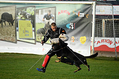 Rolex del Camino Duro