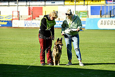 Ronya vom Silvano