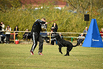 Ruben vom Lindelbrunn