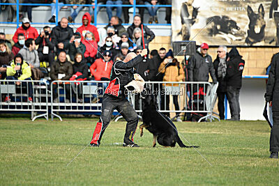 Rufus ze Stribrneho kamene