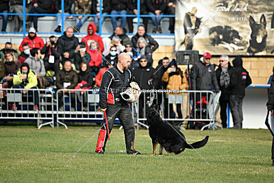 Rufus ze Stribrneho kamene