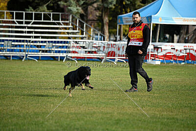 Rufus ze Stribrneho kamene