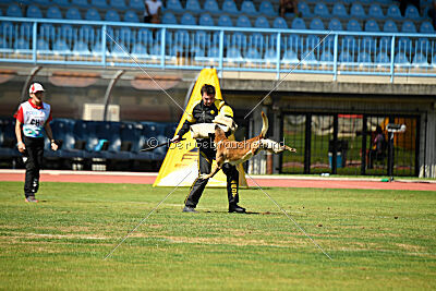 S'Marco vom Kistenstein