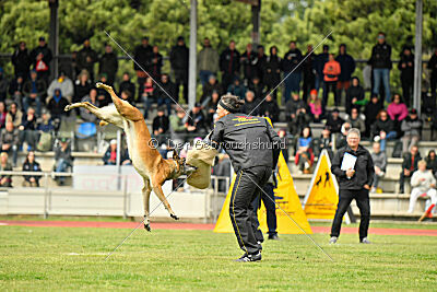 S'Marco vom Kistenstein