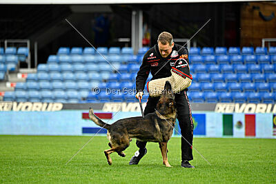 Sanji ze Stribrneho kamene