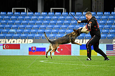 Sanji ze Stribrneho kamene