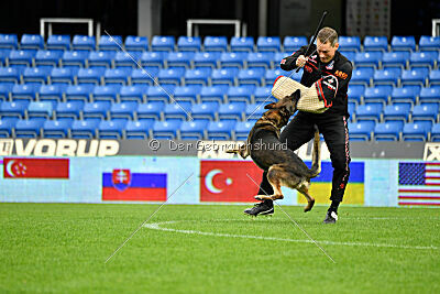 Sanji ze Stribrneho kamene