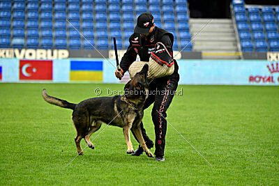 Sanji ze Stribrneho kamene