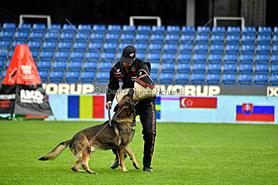 Sanji ze Stribrneho kamene