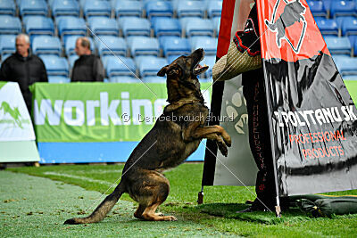 Sanji ze Stribrneho kamene