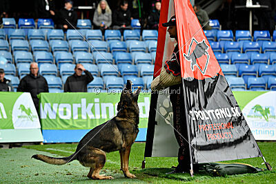 Sanji ze Stribrneho kamene