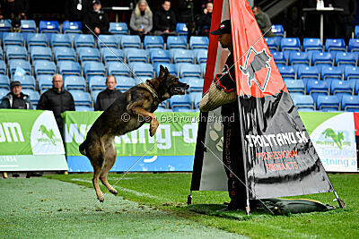 Sanji ze Stribrneho kamene